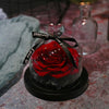 Glass Cover Big Rose Eternal Flower